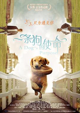 狠狠干性视频