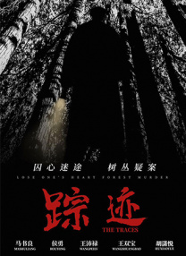 消失的孩子 电视剧